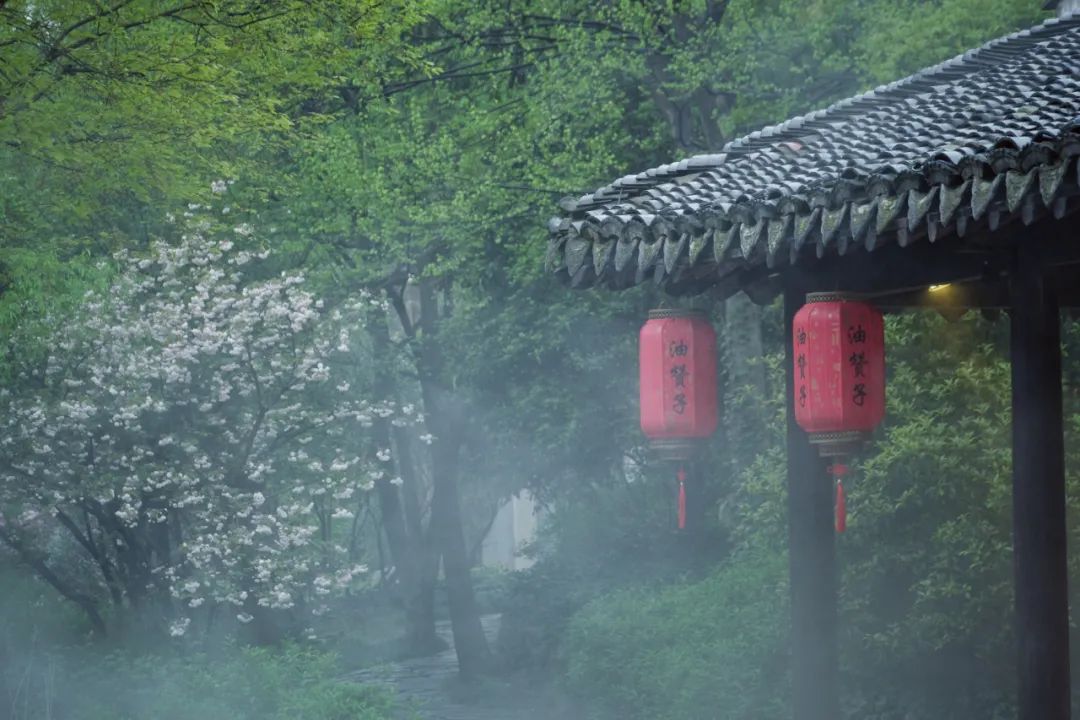 描写下雨的优美句子（下雨的有意境的短句子） 第5张