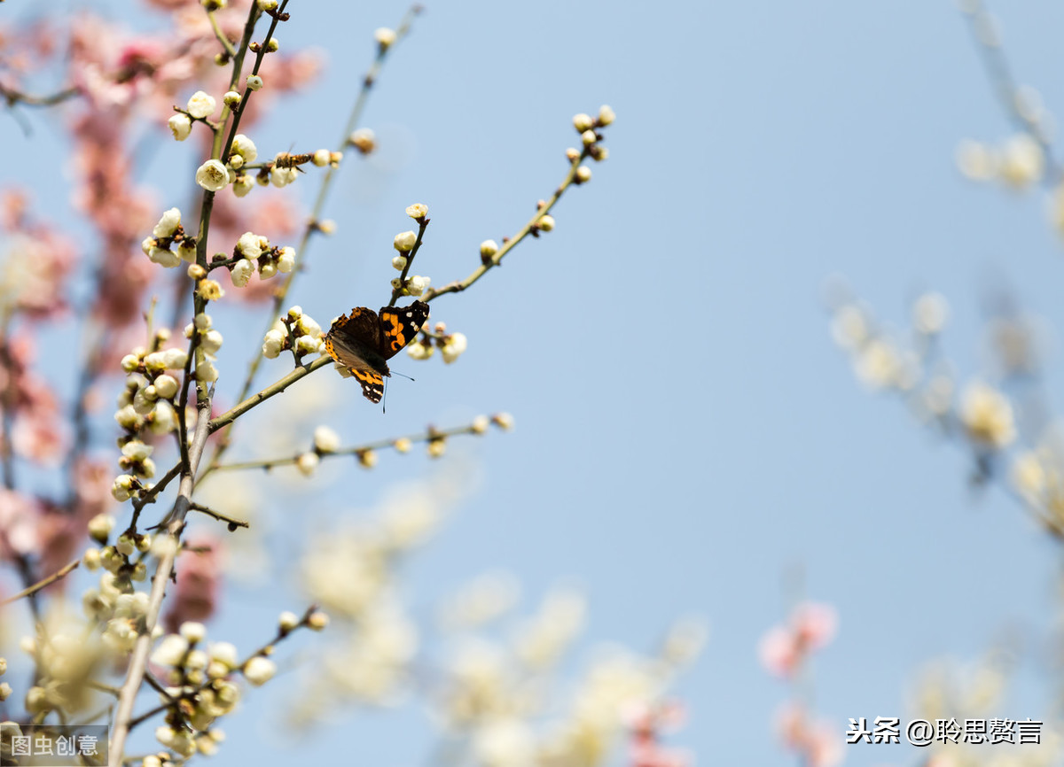 王令送春的诗意是什么（送春全文赏析和诗意解读） 第3张