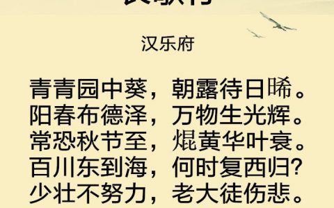 长歌行汉乐府古诗意思（长歌行诗歌赏析和译文分享）