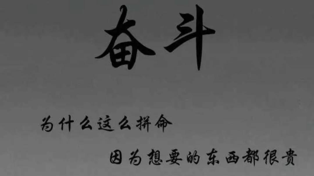形容努力就有收获的句子（努力终有回报的美句） 第7张