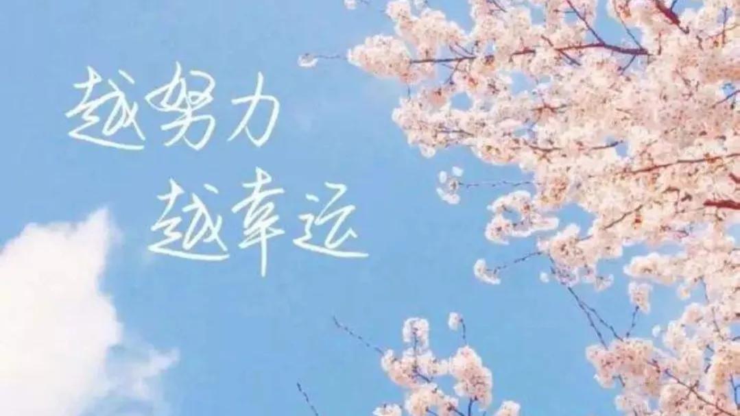 形容努力就有收获的句子（努力终有回报的美句） 第15张