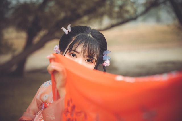 化做春泥更护花上全诗（己亥杂诗其五赏析和诗境） 第5张