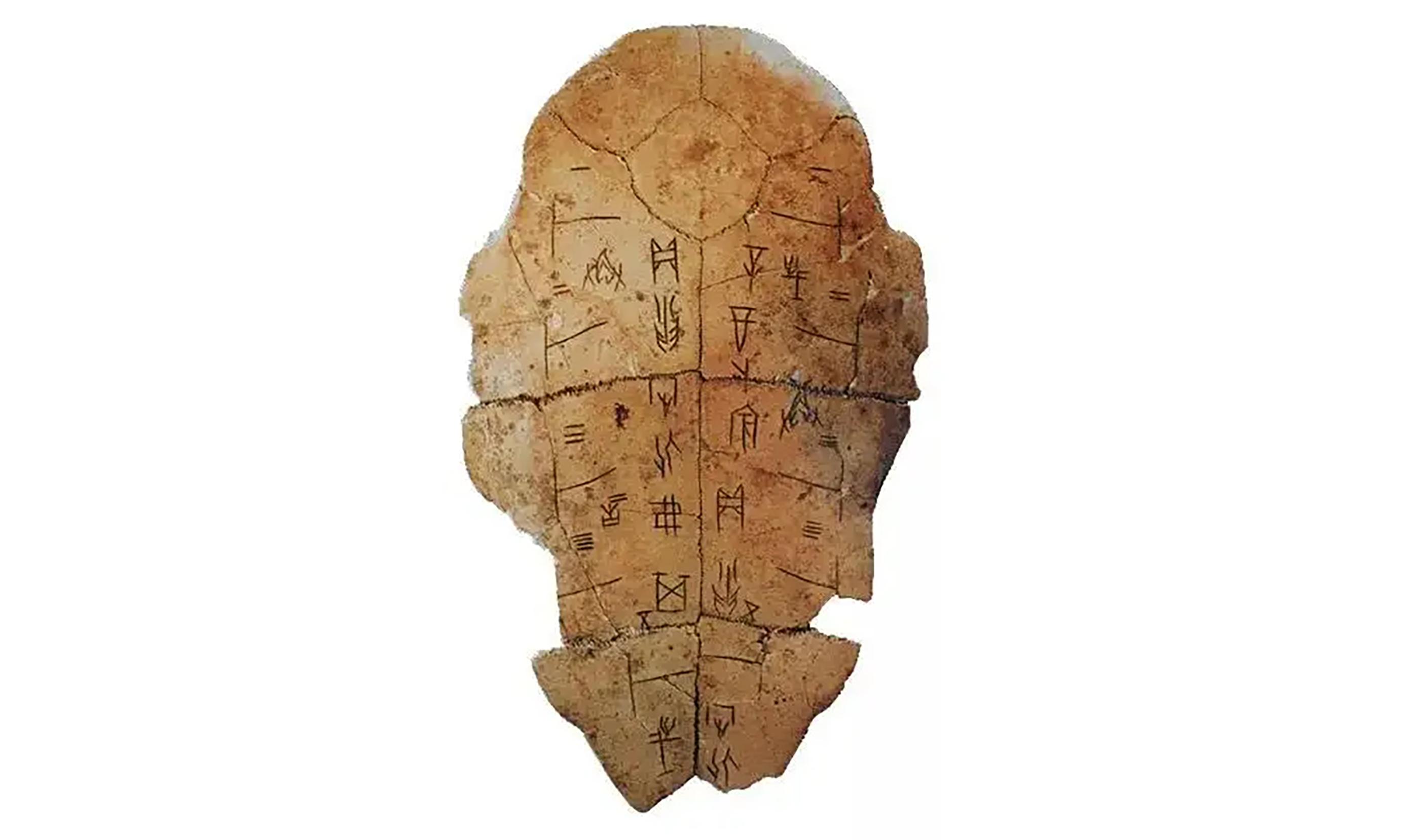 姜子牙保周朝800年是真的吗（文王背姜子牙何不多背几步） 第11张