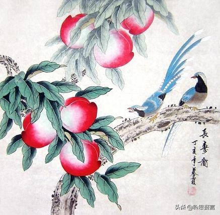 生日的诗句诗词大全（摘抄这42首寓意美好的祝寿诗） 第41张