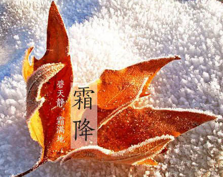 描写秋霜的诗句有哪些（赞美秋霜之美的15首唯美古诗词） 第1张