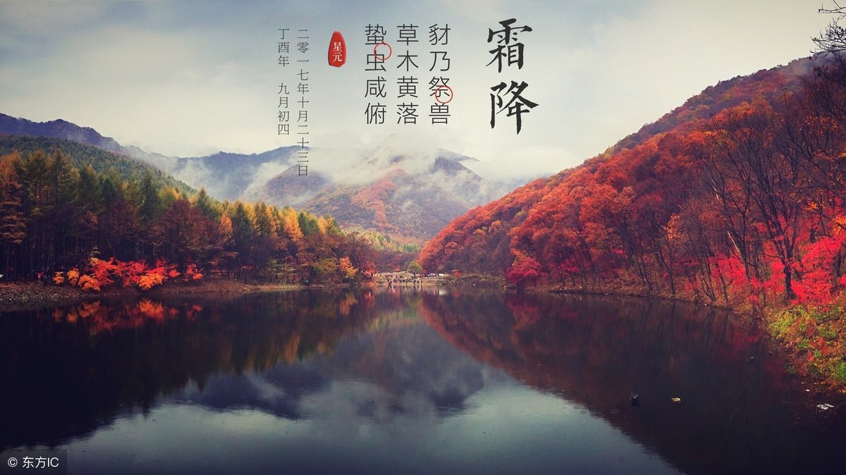 描写秋霜的诗句有哪些（赞美秋霜之美的15首唯美古诗词） 第9张