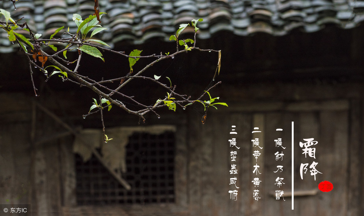 描写秋霜的诗句有哪些（赞美秋霜之美的15首唯美古诗词） 第13张