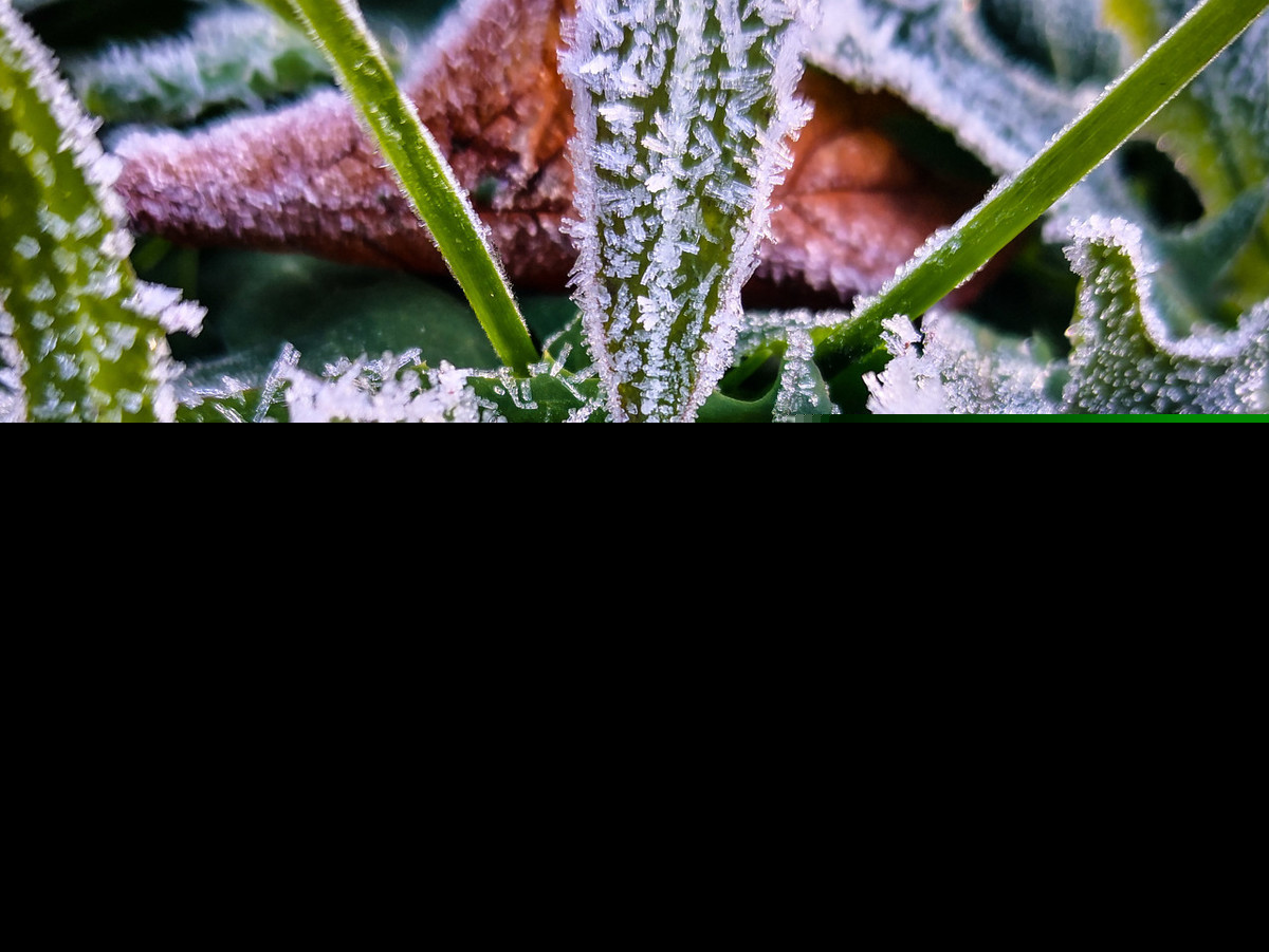 描写秋霜的诗句有哪些（赞美秋霜之美的15首唯美古诗词） 第17张