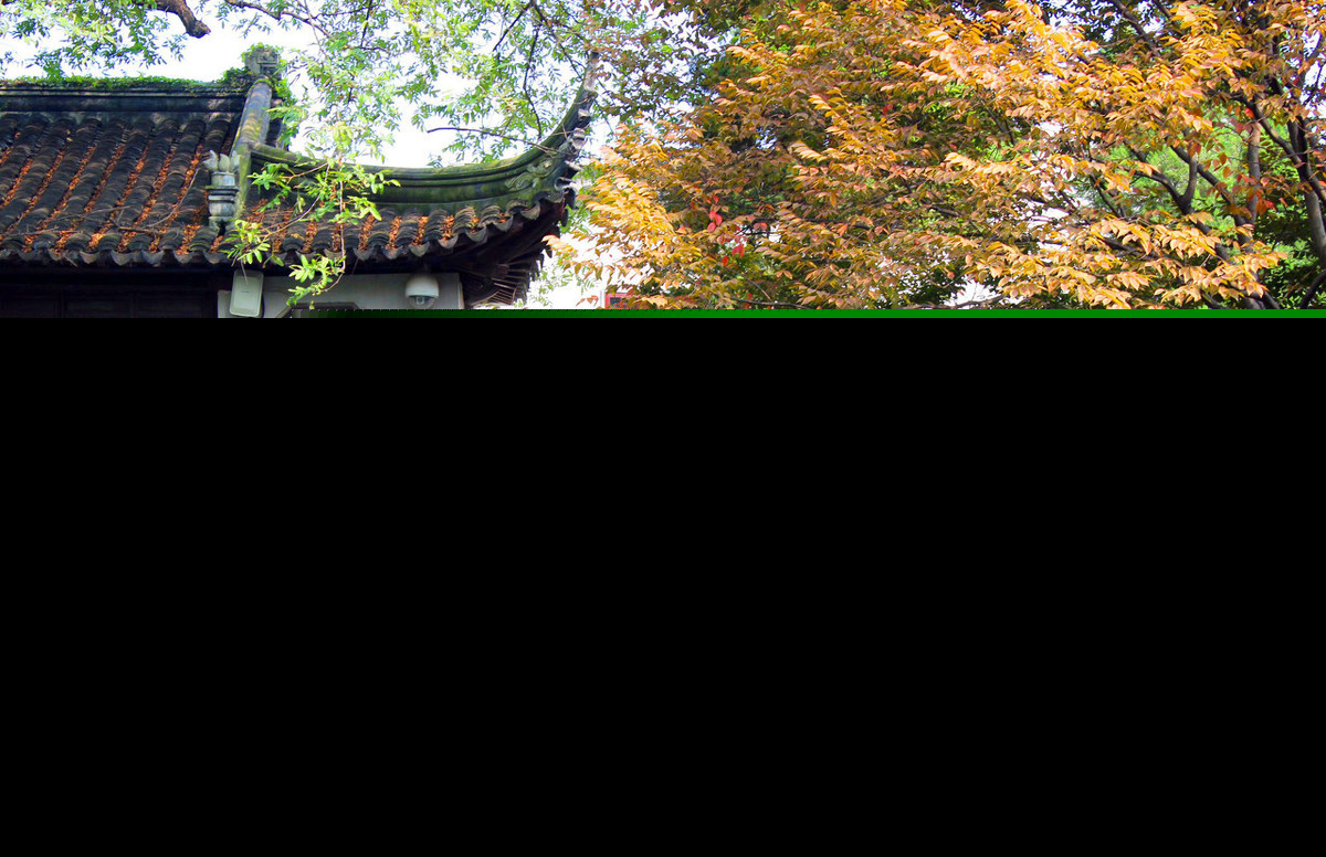 描写秋霜的诗句有哪些（赞美秋霜之美的15首唯美古诗词） 第25张