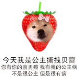 超级笑话大全爆笑（让人憋不住的笑话） 第7张