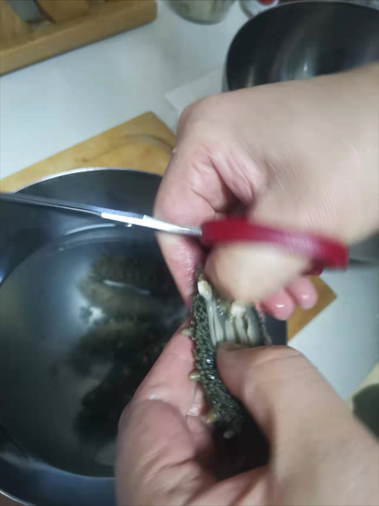 半干海参怎么泡发最好（泡发海参的5个步骤） 第7张
