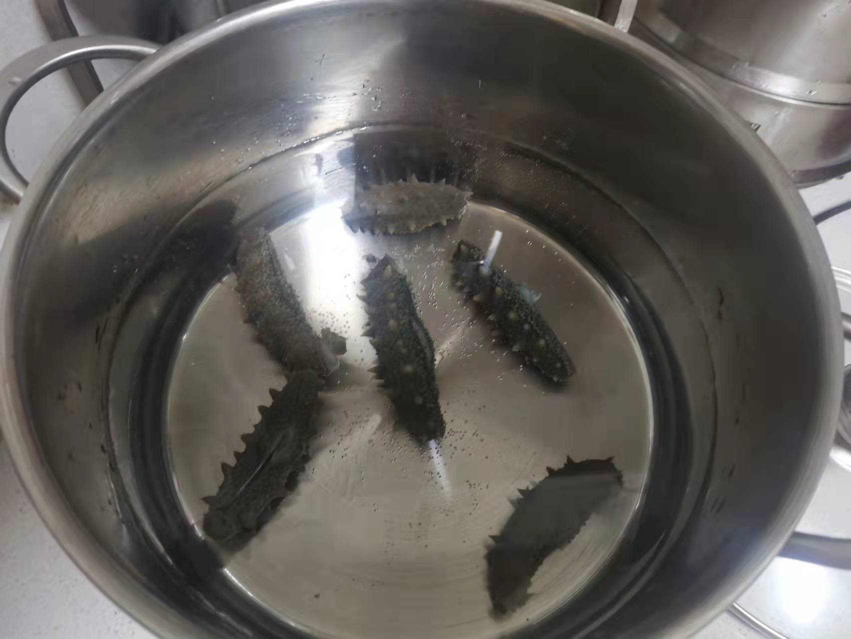 半干海参怎么泡发最好（泡发海参的5个步骤） 第9张