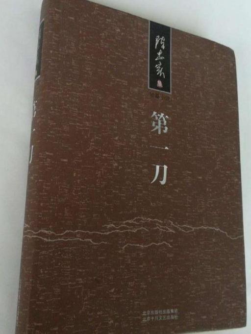 陈忠实的作品有哪些（推荐陈忠实获奖的10部作品） 第7张