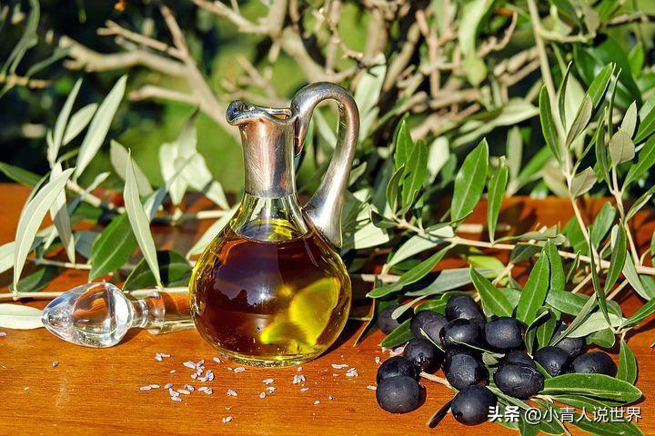 世界十大产油国排名（全球生产橄榄油的十大国家） 第3张