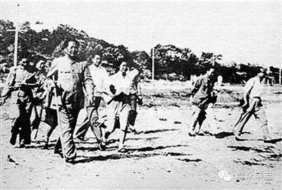 浪淘沙北戴河诗句赏析（浪淘沙北戴河原文内容和表达情感） 第1张