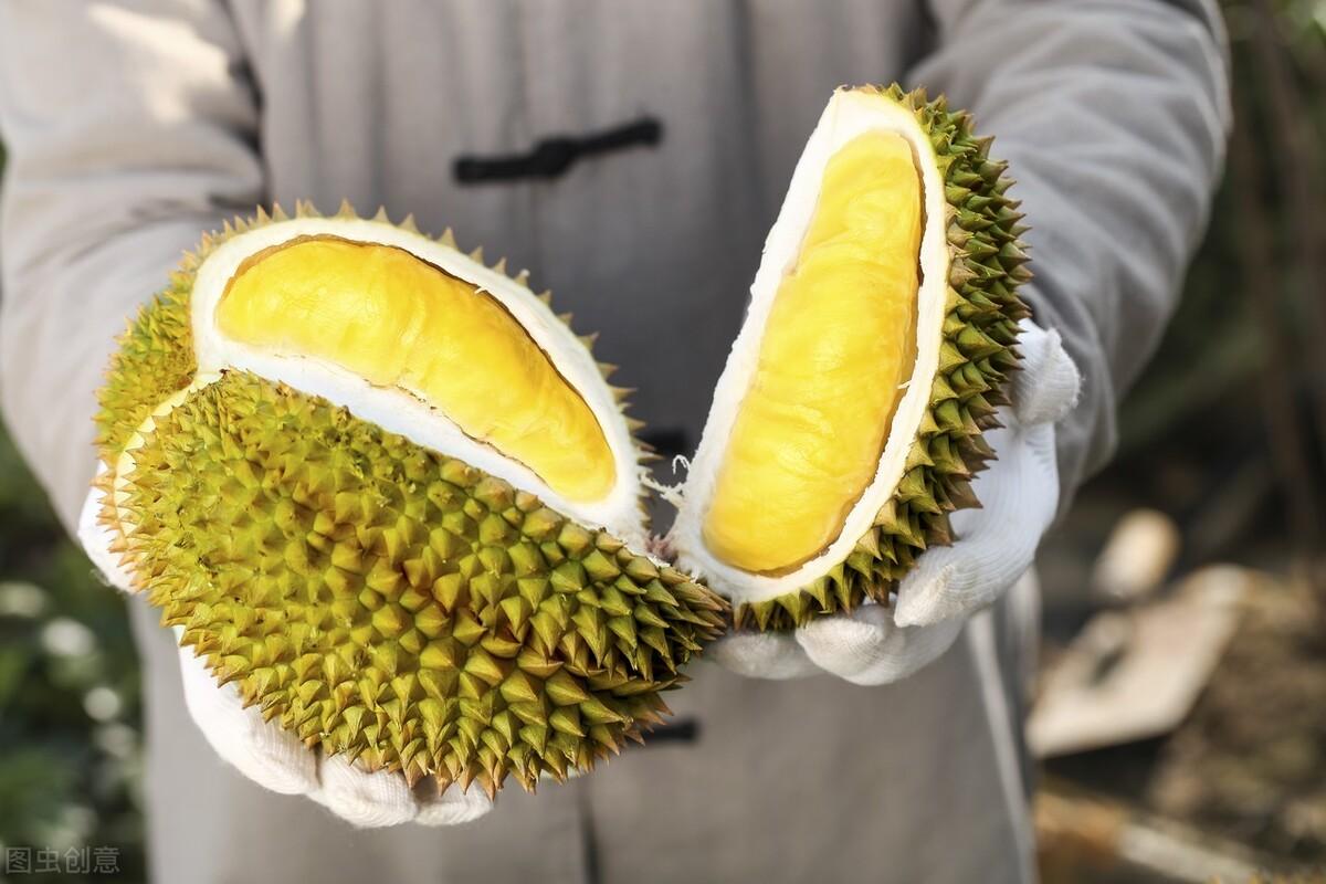 榴莲肉有点硬怎么变软（榴莲有点生能吃吗） 第7张