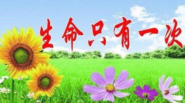 珍爱生命名言佳句（名言名句优美句子摘抄） 第1张