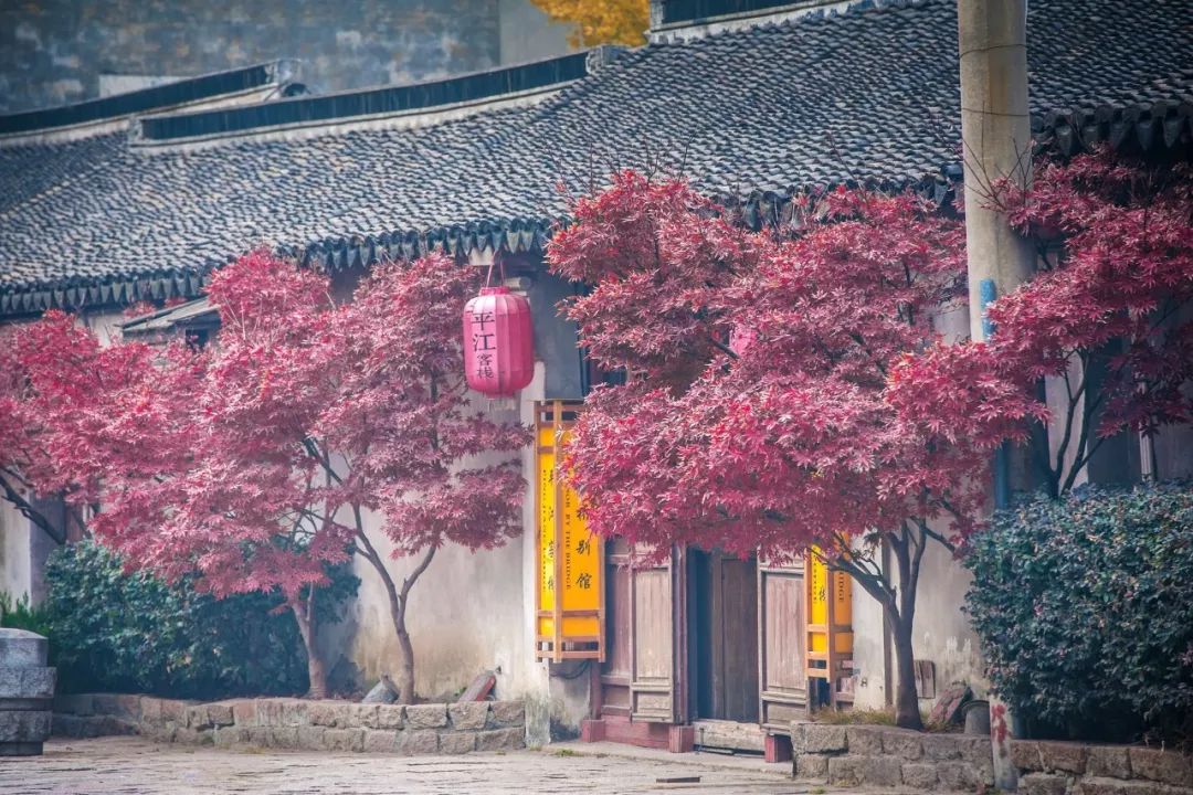 表达离别诗歌有哪些（催人泪下的8首离别诗词） 第1张