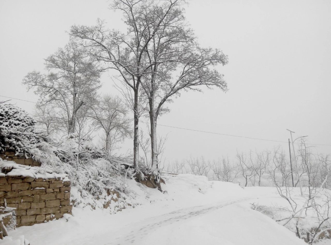古代写雪的诗句有哪些（赞美雪景的8首唯美古诗） 第13张