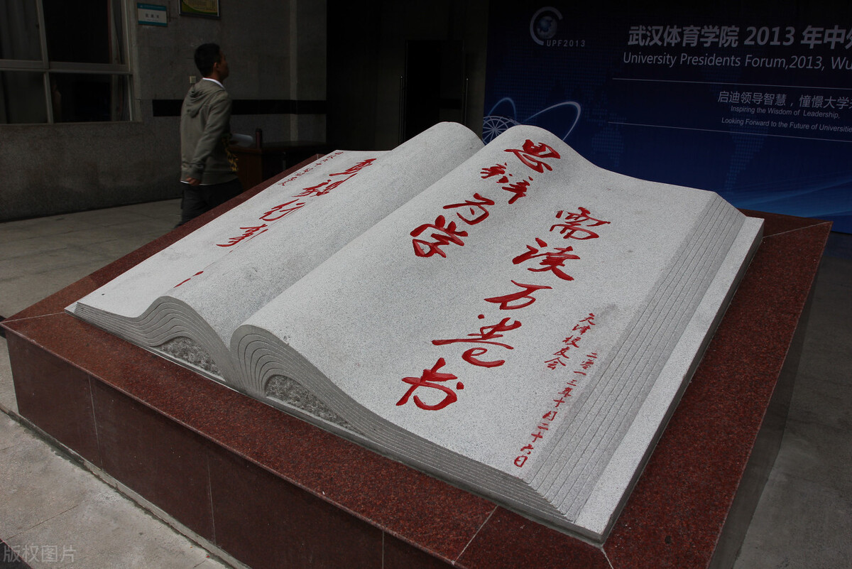 关于读书的名言名句（激励少年读书的诗句） 第15张