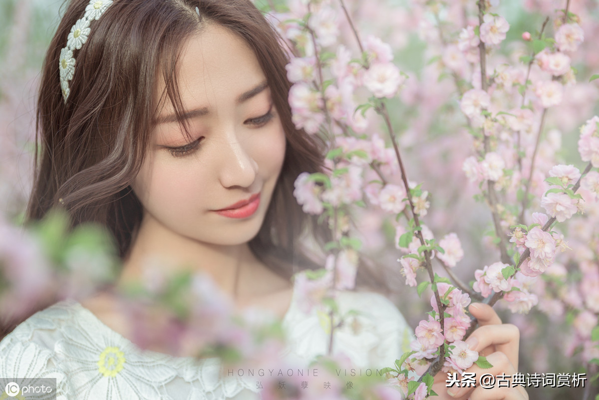 李清照浣溪沙赏析（浣溪沙古诗默写和诗意解读） 第9张
