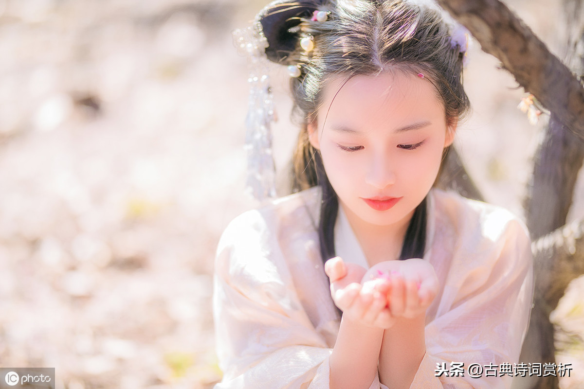 李清照浣溪沙赏析（浣溪沙古诗默写和诗意解读） 第11张