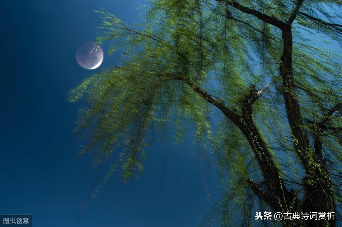 李清照浣溪沙赏析（浣溪沙古诗默写和诗意解读） 第19张