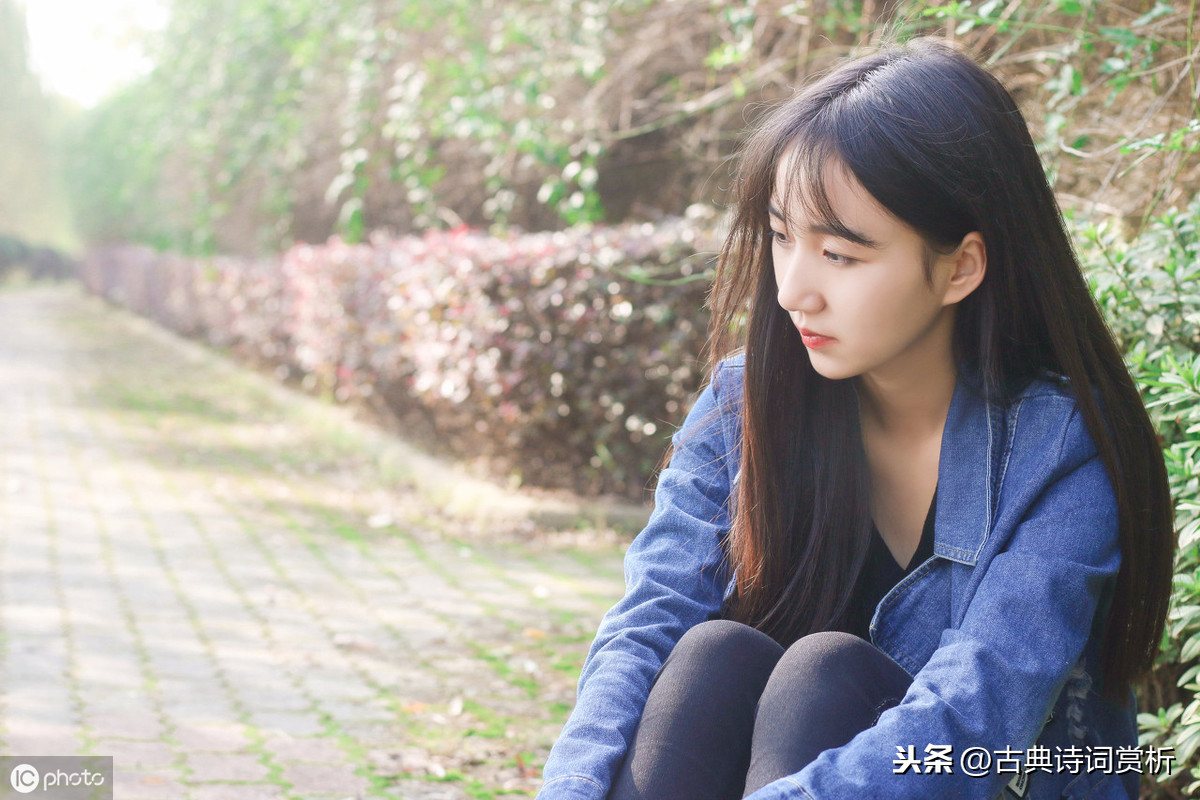 李清照浣溪沙赏析（浣溪沙古诗默写和诗意解读） 第21张