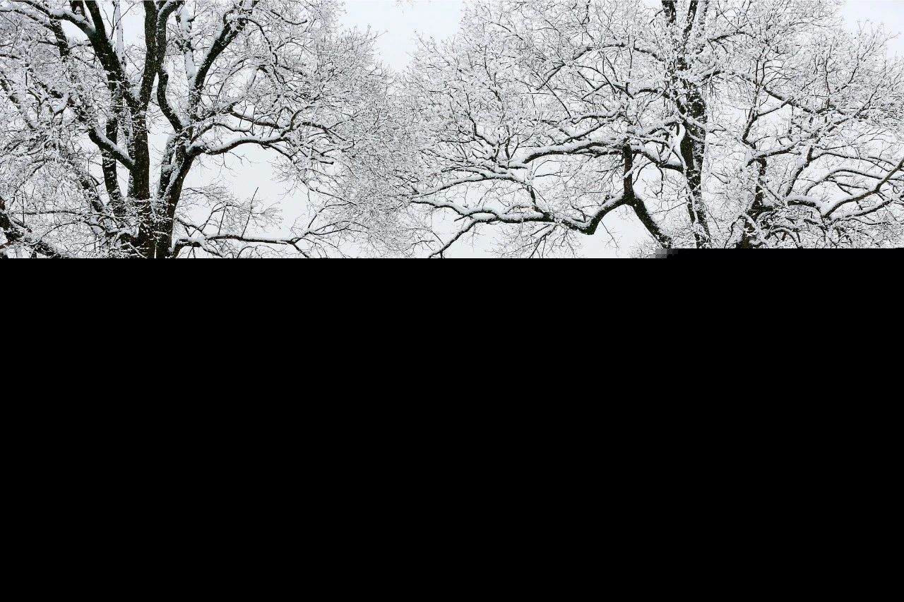 与雪有关的诗句精选（描写雪的古诗词名句） 第5张