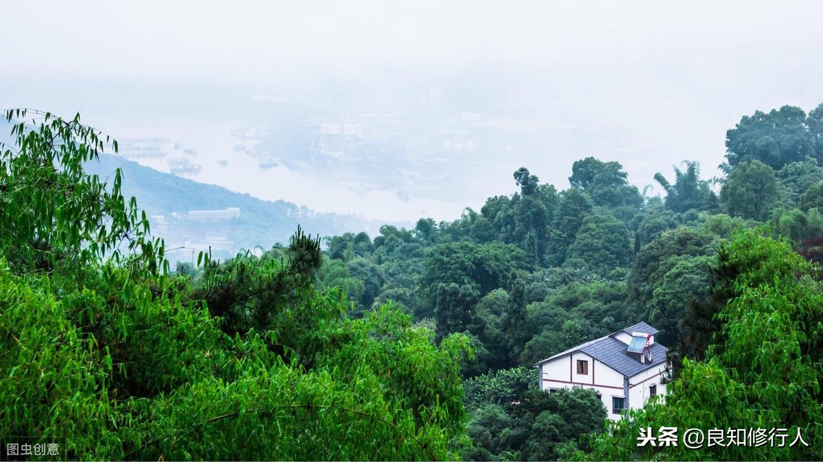 采菊东南下是哪首诗（全诗默写和诗意赏析） 第1张
