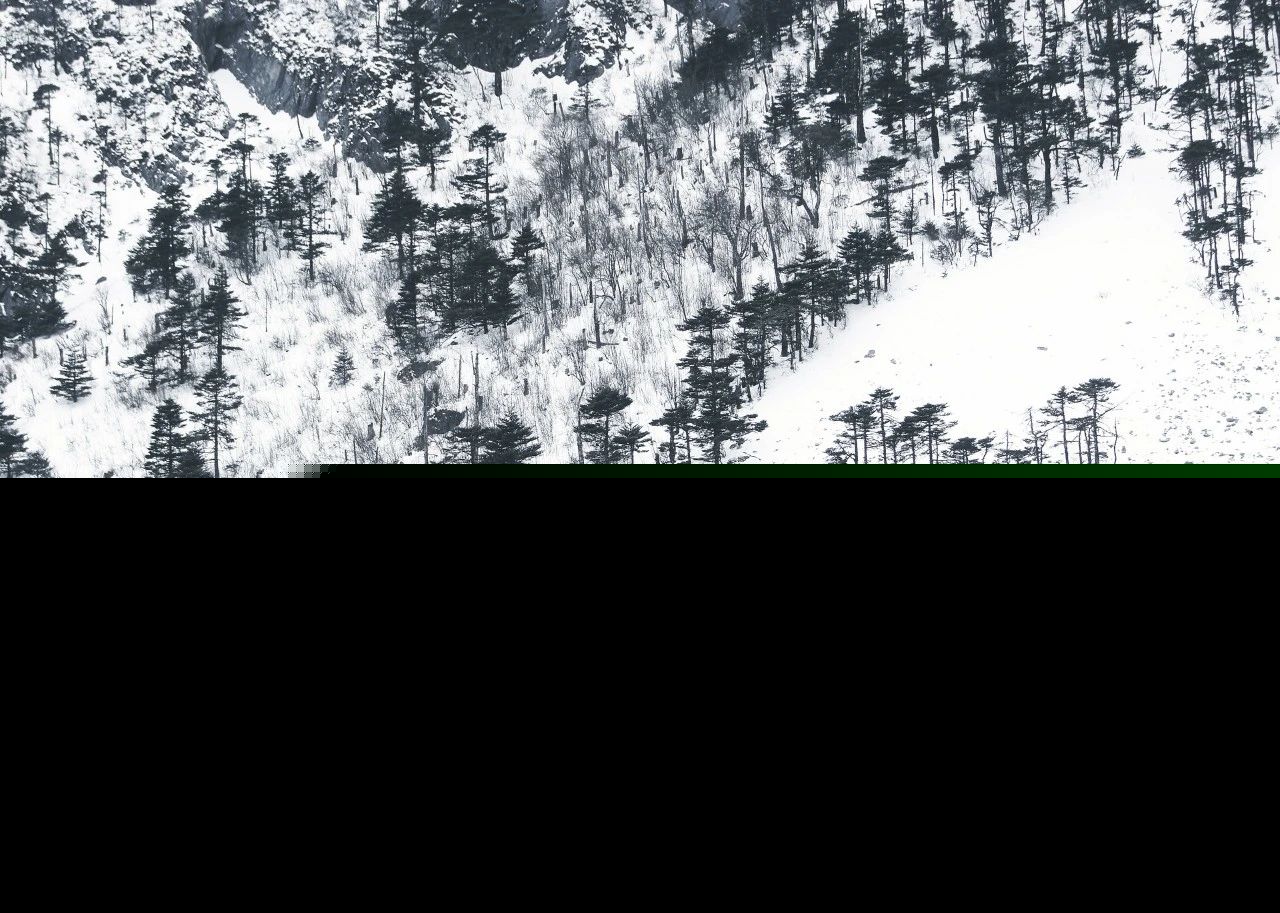 与雪有关的诗句精选（描写雪的古诗词名句） 第11张