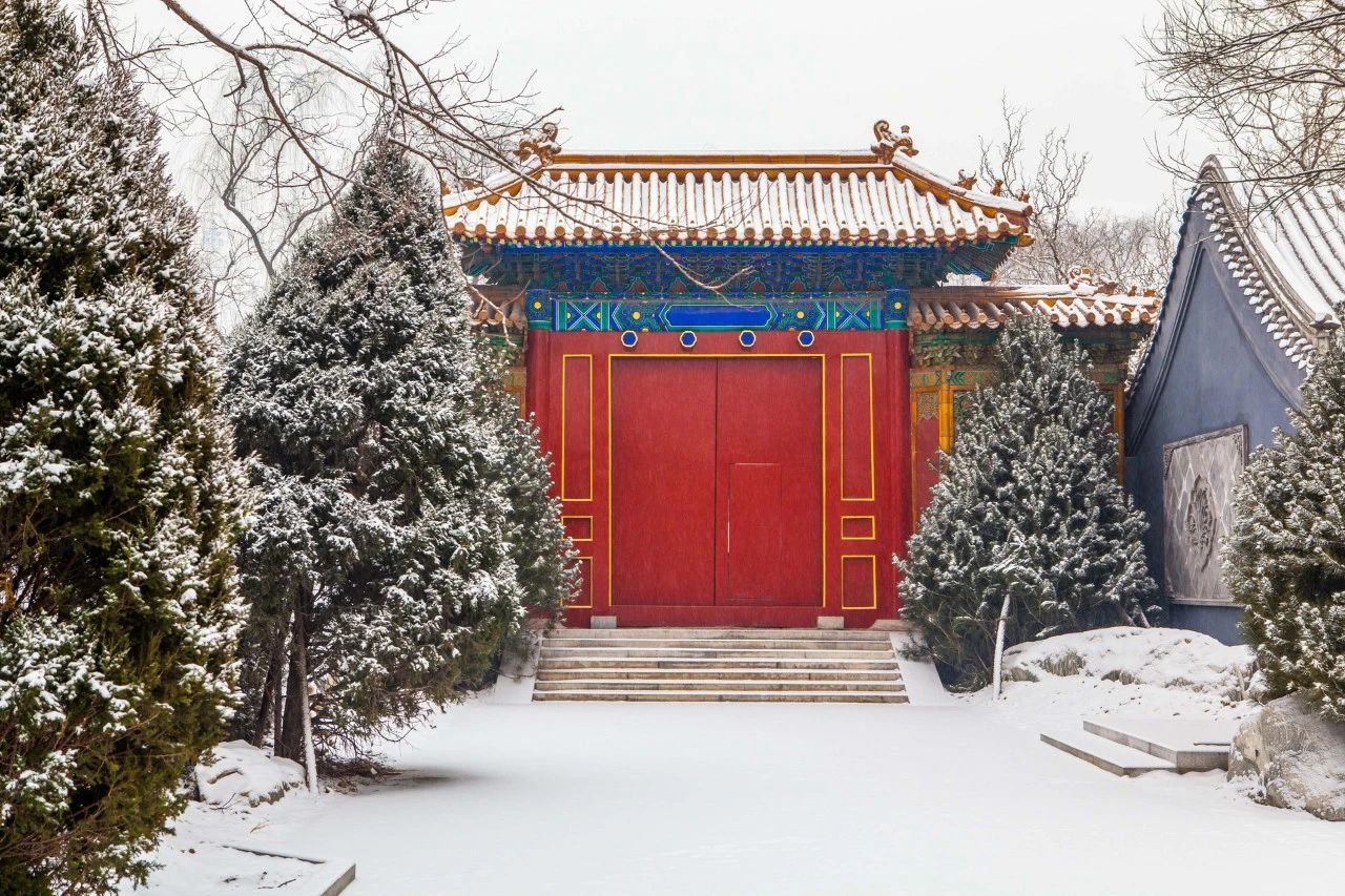 与雪有关的诗句精选（描写雪的古诗词名句） 第17张