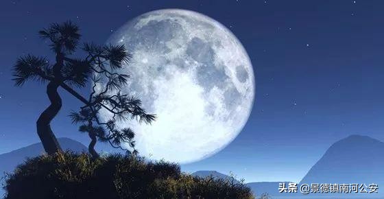 露从今夜白月是故乡明的意思（全诗内容及意思解释） 第1张