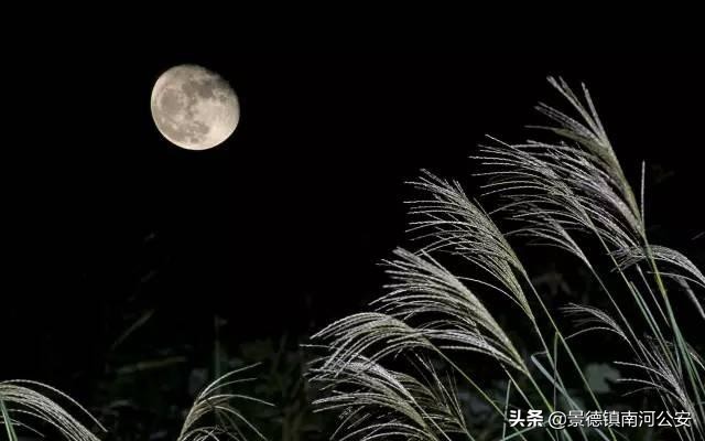 露从今夜白月是故乡明的意思（全诗内容及意思解释） 第3张