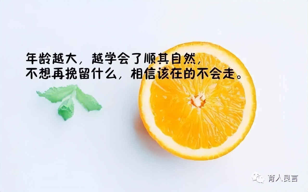 感悟人生的句子经典（人生感悟正能量的短句） 第1张