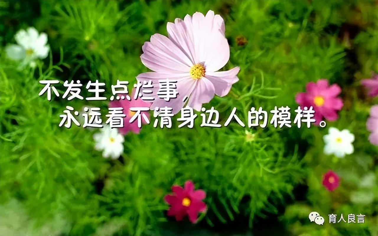 感悟人生的句子经典（人生感悟正能量的短句） 第3张