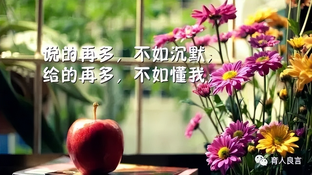 感悟人生的句子经典（人生感悟正能量的短句） 第5张