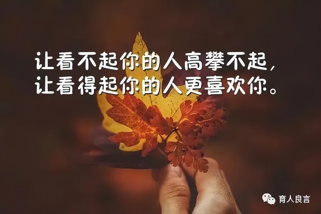 感悟人生的句子经典（人生感悟正能量的短句） 第7张