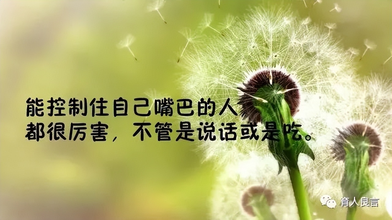 感悟人生的句子经典（人生感悟正能量的短句） 第11张
