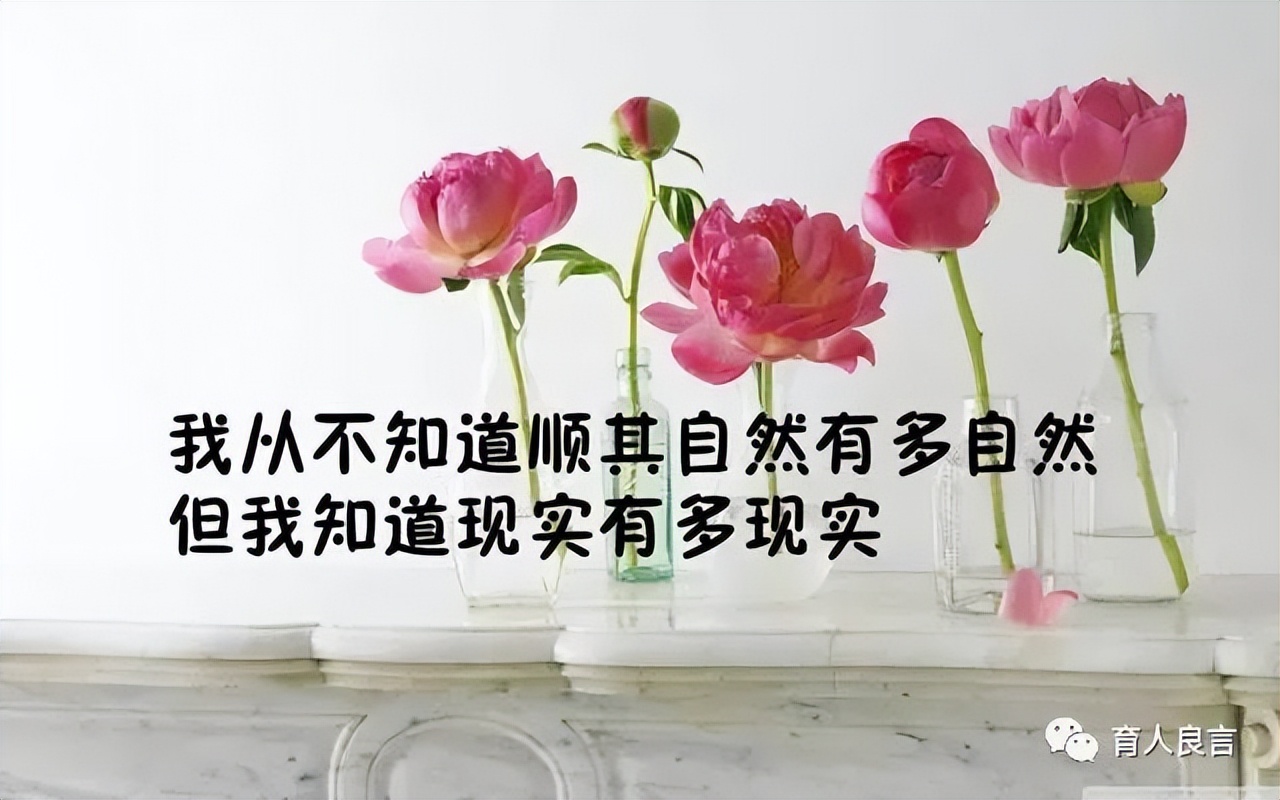 感悟人生的句子经典（人生感悟正能量的短句） 第13张