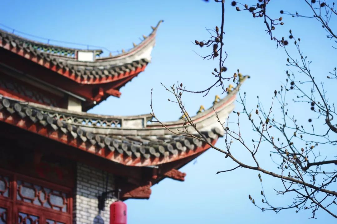 古代女诗人李清照诗句（摘抄李清照的16首古诗） 第7张
