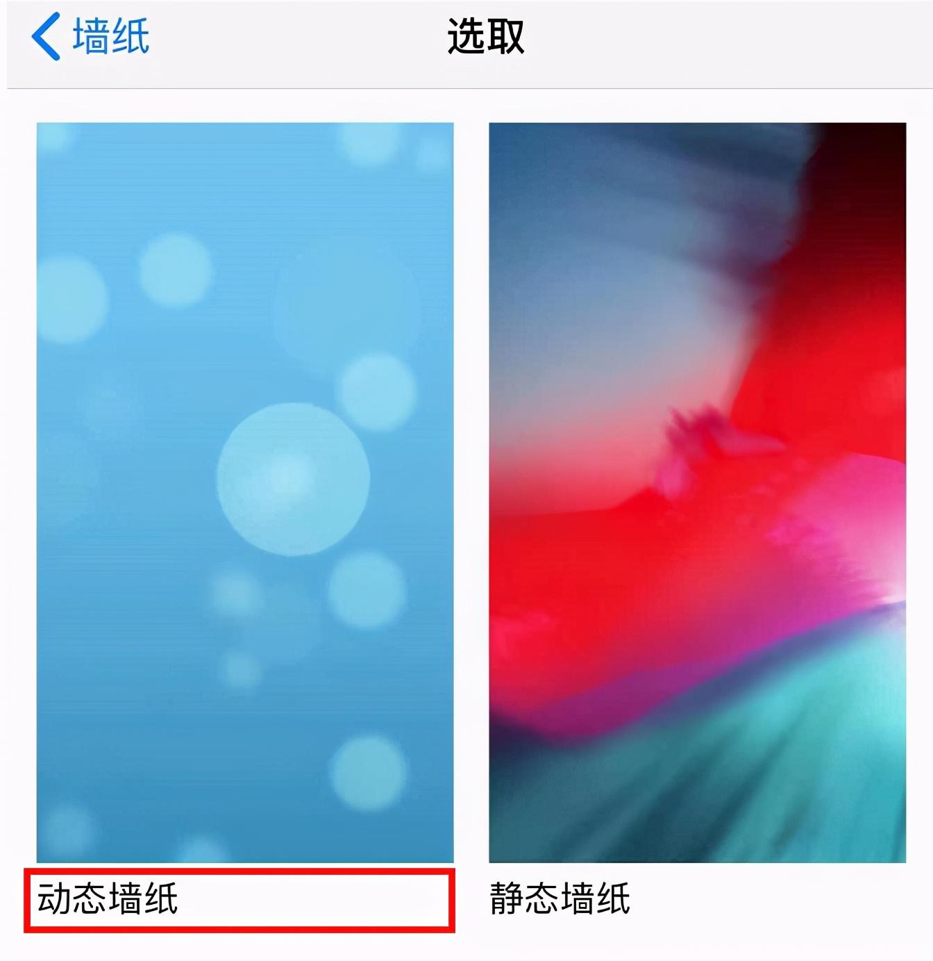 苹果手机怎么设置动态壁纸（苹果手机设置动态壁纸教程） 第7张