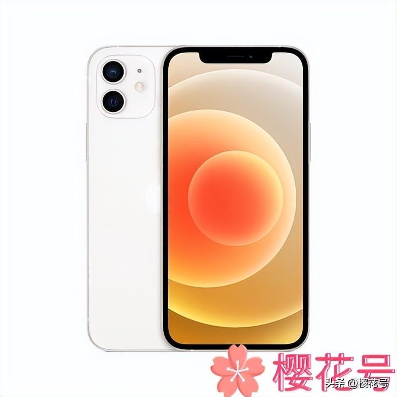 苹果12参数配置处理器怎么样（iPhone12使用测评） 第3张