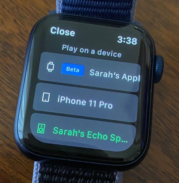 苹果手表能独立听歌吗（Apple Watch端Spotify部署独立流媒体） 第3张