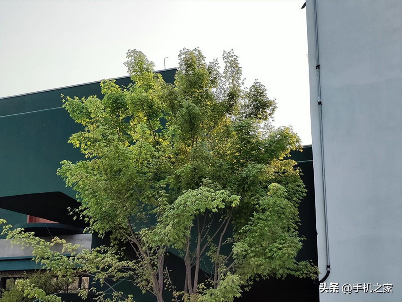 OPPO K10 Pro评测（骁龙888+80W闪充加持） 第27张