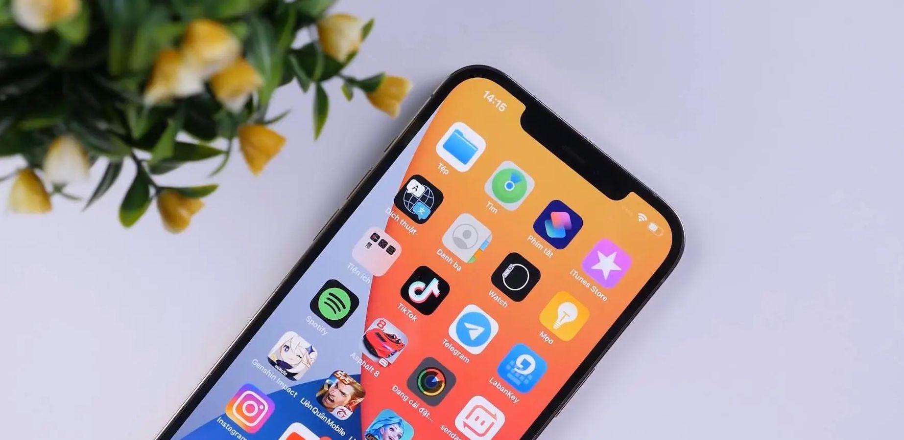 苹果11卡死机了无法强制关机（iPhone11出现死机无法关机处理方法） 第5张