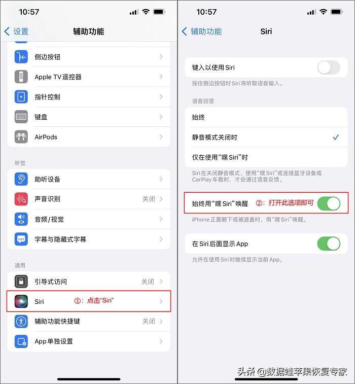嘿siri怎么喊不出来（无法唤醒Siri解决方法） 第3张