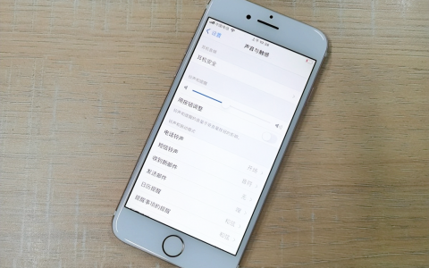 苹果手机通话声音小怎么调大（iPhone 通话声音调节大小的方法）