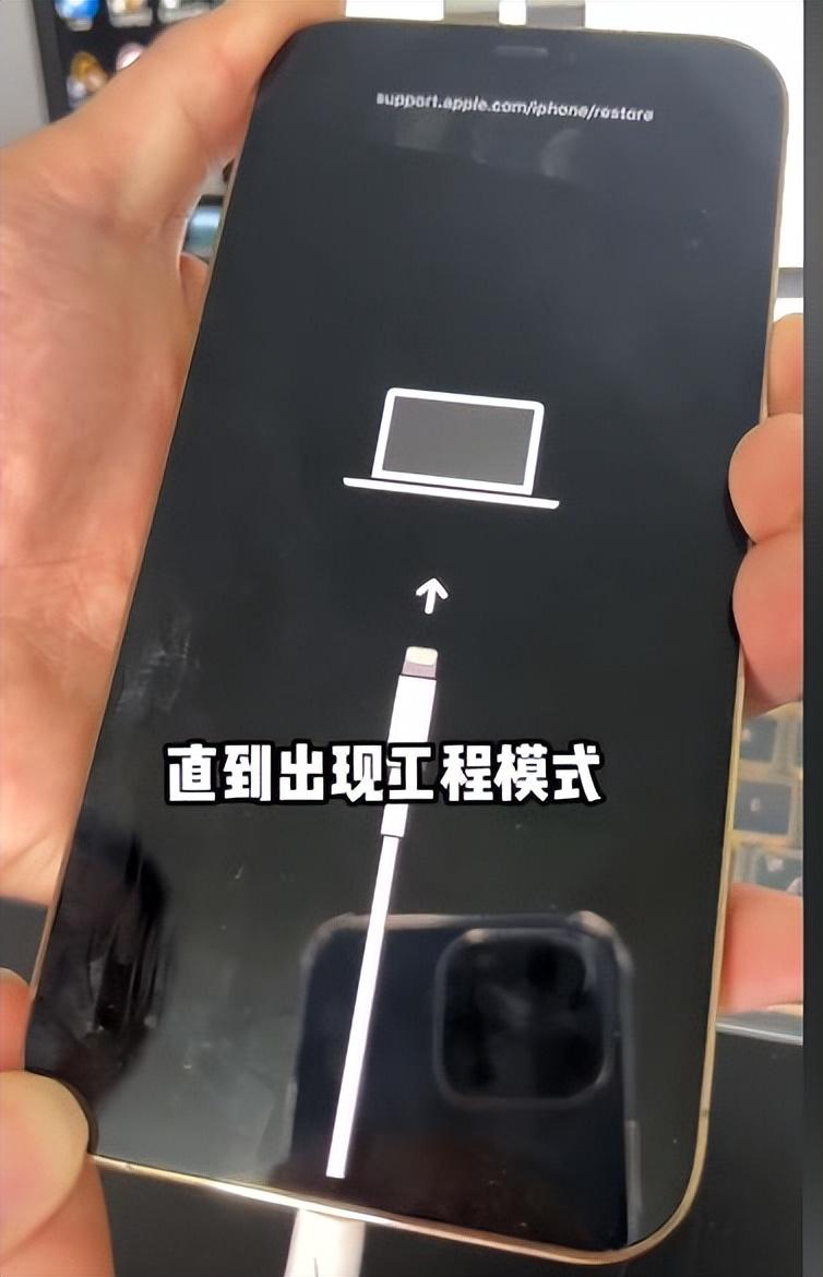iphone密码忘了怎么解开手机（苹果手机密码忘记了解锁教程） 第5张