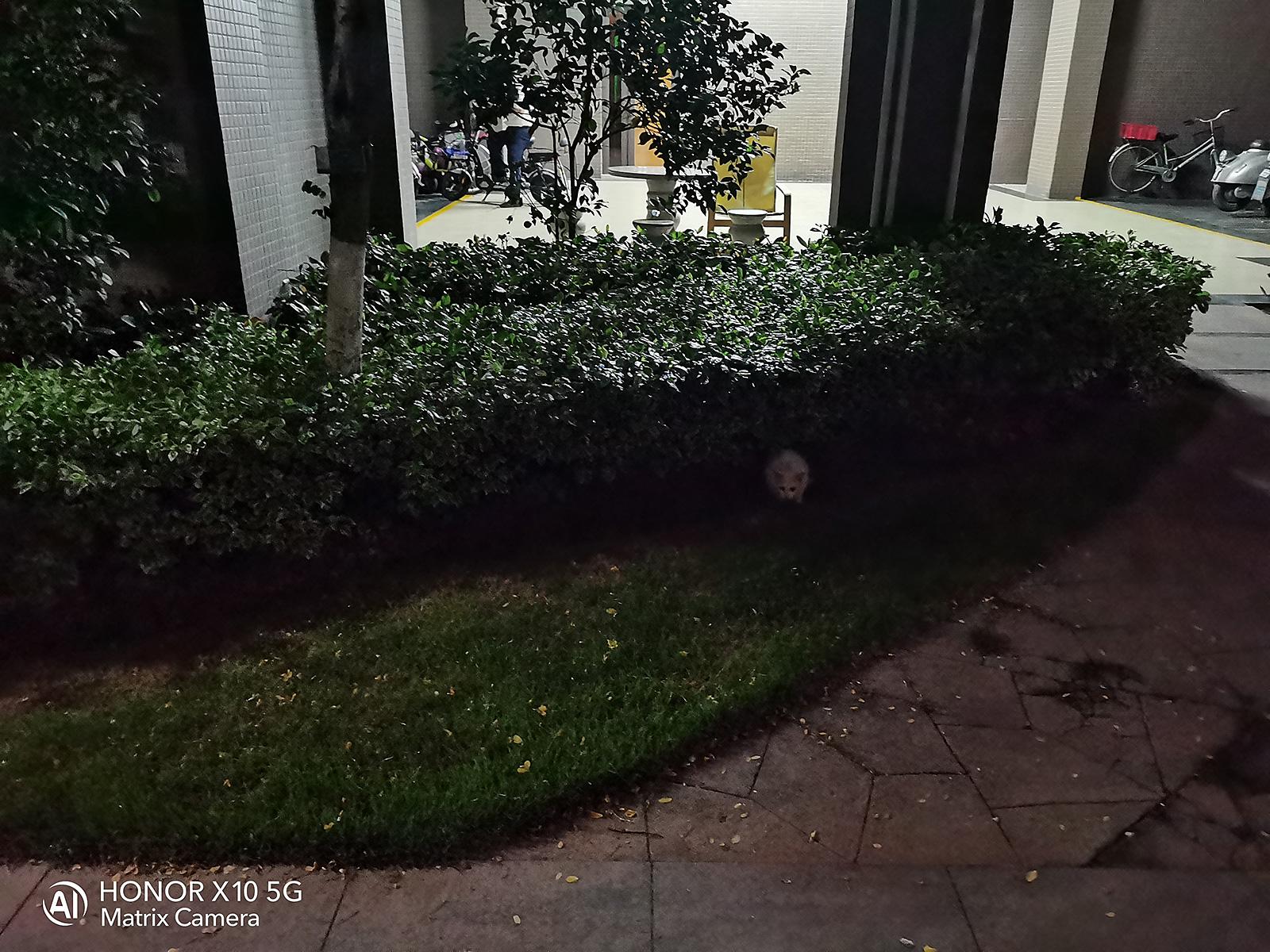 华为荣耀x10详细评测（“入门价”体验高性能5G） 第19张